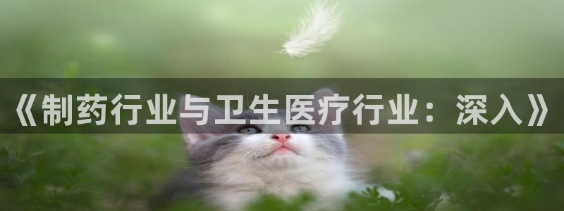 恒行彩票亏5千