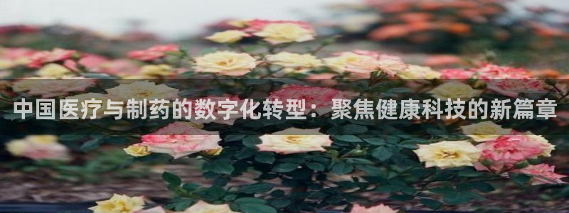 恒行娱乐吴74OOO5