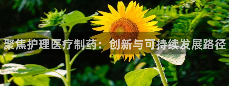 恒行2沈74OOO5