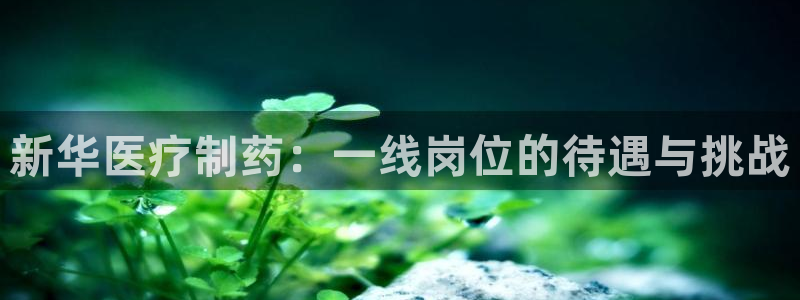 恒行主管6ll5l指定