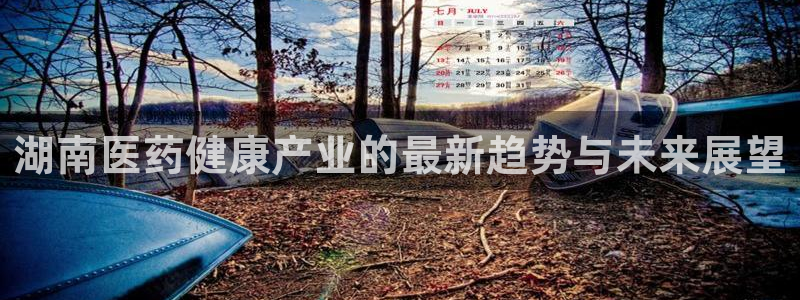 恒行主管招收 6ll5l出奇