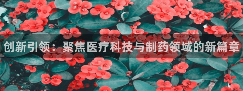 恒行娱乐芍皇74ooo5蛹
