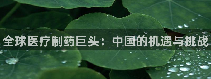 恒行2郑74OOO5