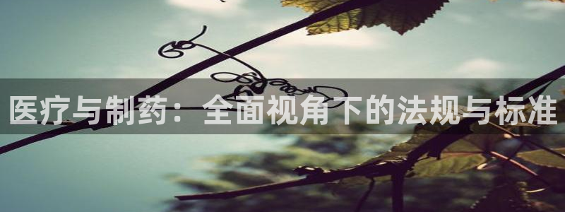 恒行主管6ll5l指定