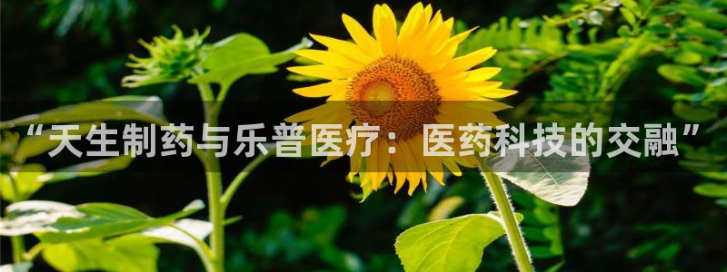 恒行2下74OO5