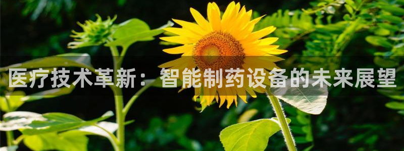 恒行娱乐陈74OOO5