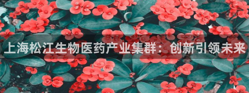 恒行2蒋74OOO5