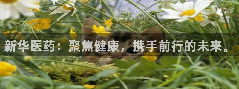 恒行2卫74OOO5