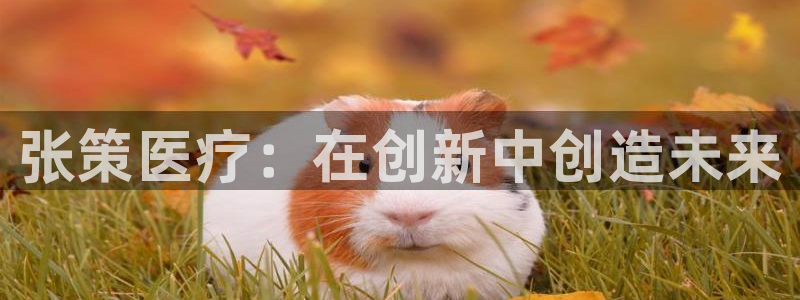 恒行娱乐吴74OOO5