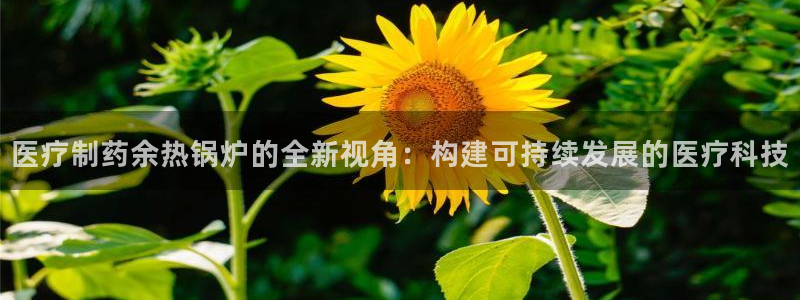 恒行5娱乐