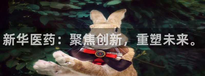 恒行娱乐陈74OOO5