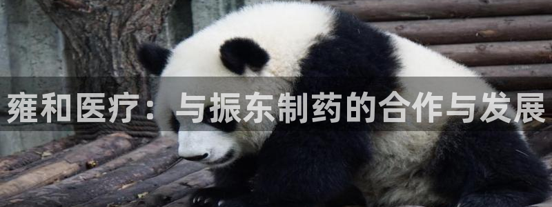 恒行开户娱乐6ll5l特惠