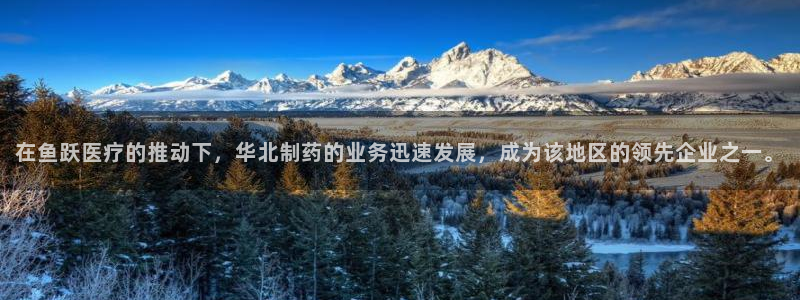 恒行娱乐5ll533主管优雅