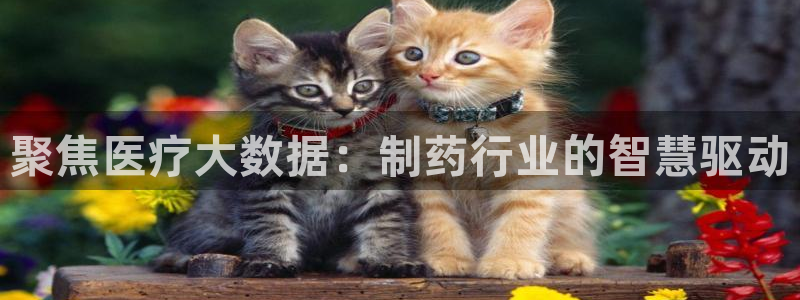 恒指5行情 如来再我心