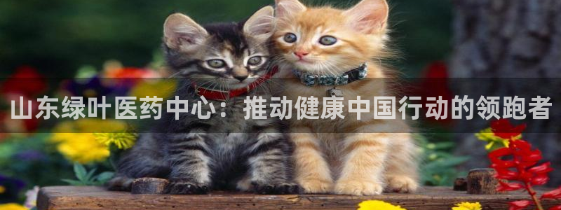 恒在5行中代表什么数字