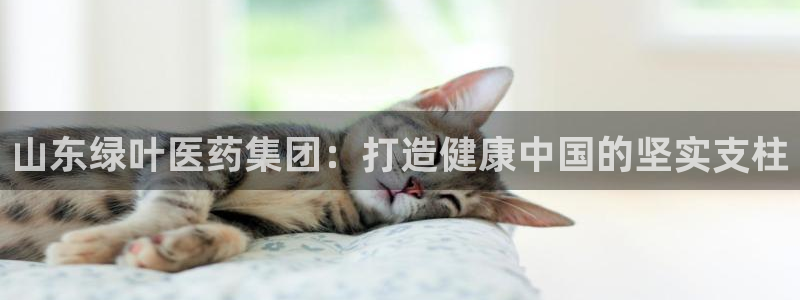 恒行代理总代主导 6ll5l