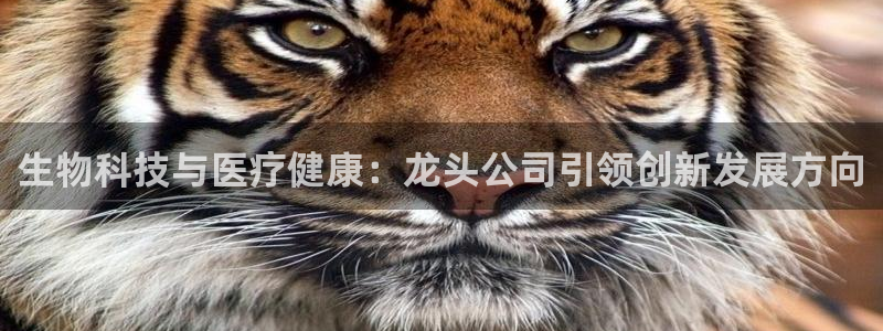 恒行2下74OOO5