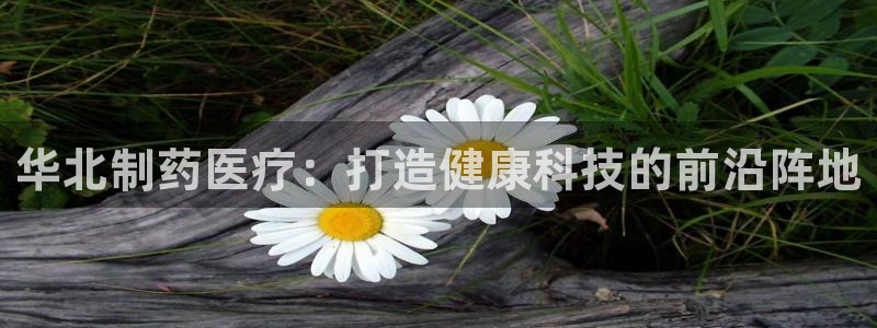 恒行2朱74OOO5