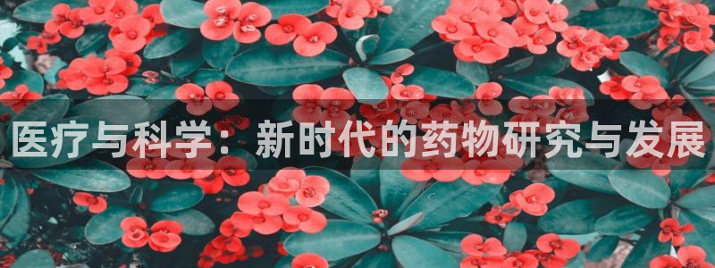 恒指5行情 如来再我心