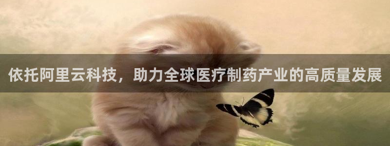 恒行娱乐5ll533主管优雅